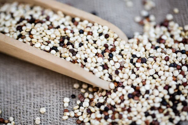 Tricolores orgânicos de grãos de quinoa, vegan — Fotografia de Stock