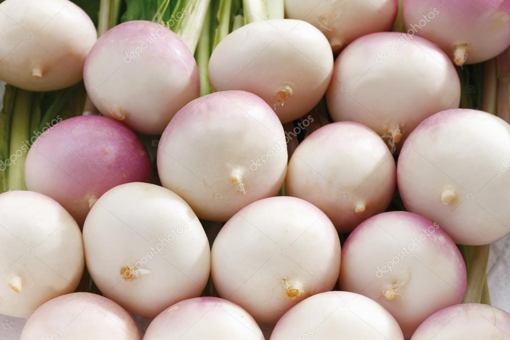Stacked white baby turnips Stock Photo by ©TunedIn61 80050294