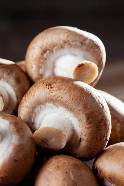 Mushrooms — Stock Photo, Image