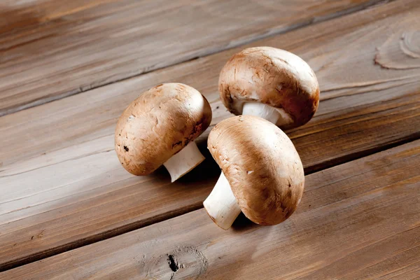 Mushrooms on wood — Stock Photo, Image