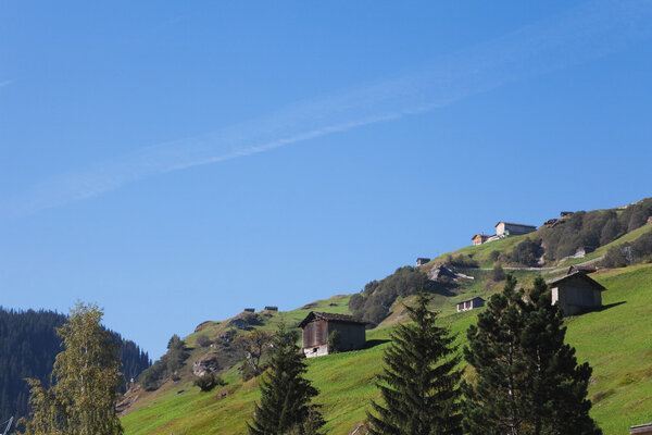 Switzerland, Grisons, Alps, Vals Valley, mountain pasture