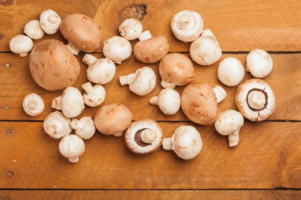 Champiñones marrones y blancos sobre madera — Foto de Stock