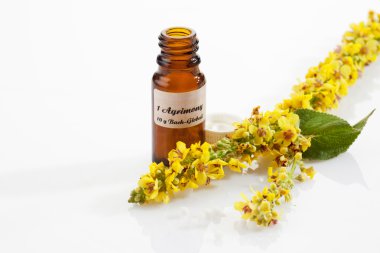 Agrimony, bach flower, apothecary flask clipart