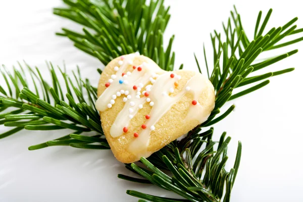 Bolinho de Natal em forma de coração no galho de abeto — Fotografia de Stock