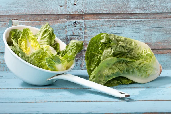 Close up of mini romaine lettuce in pan — Stock Photo, Image