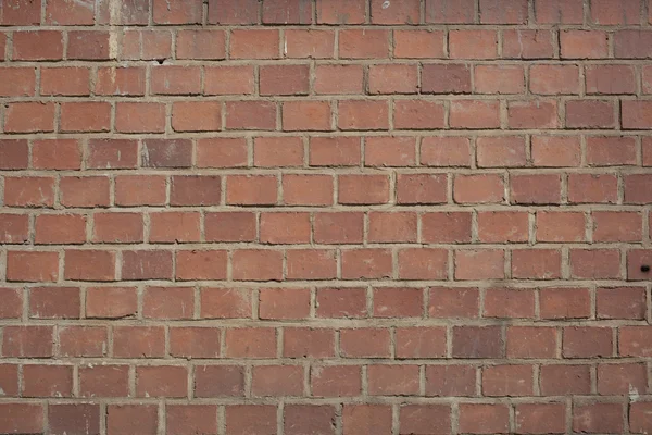 graue Beton-Ziegel — Stockfoto © andreevaee #45314979