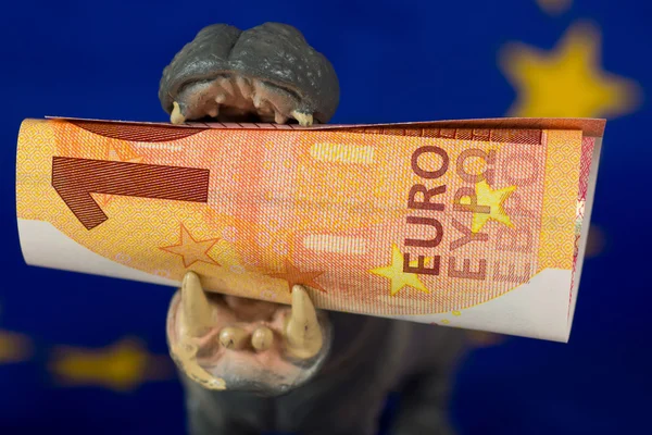 10 Euro note i munden af en flodhest figur - Stock-foto