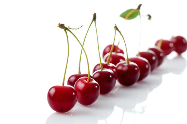 Sour cherries, row