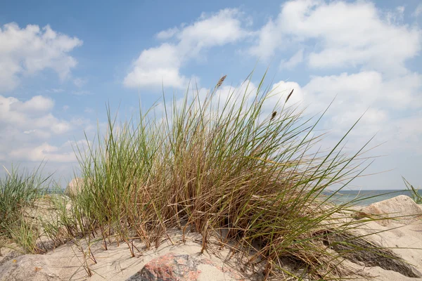 Niemczech, kraju związkowym Szlezwik-Holsztyn, Morze Bałtyckie, plaża wydmy i skryba g — Zdjęcie stockowe