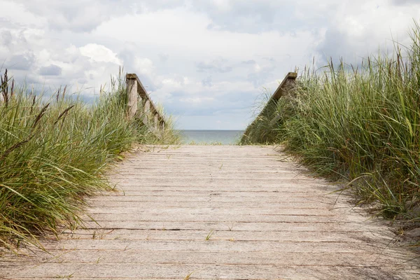 Almanya ' nın kuzeyinde Schleswig-Holstein, ahşap boradwalk — Stok fotoğraf