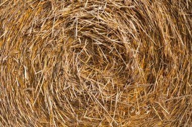 saman balya yakın çekim