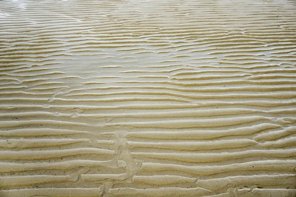 Alemania, Baja Sajonia Parque Nacional del Mar de Wadden, playa y ondulación — Foto de Stock