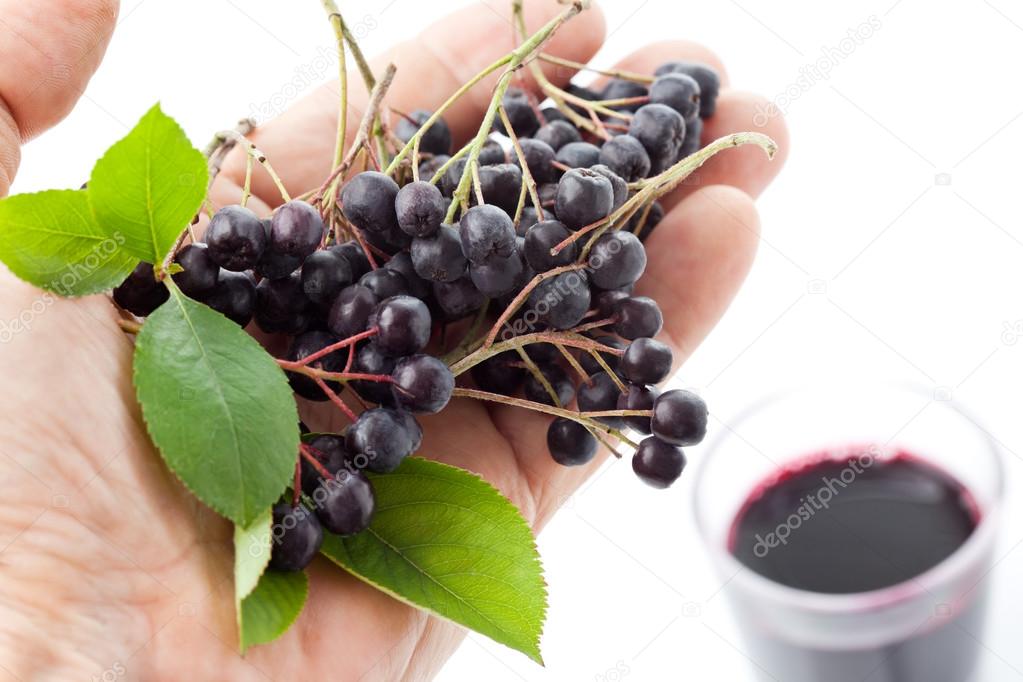 Hand with chokberries, glass with aronia juice