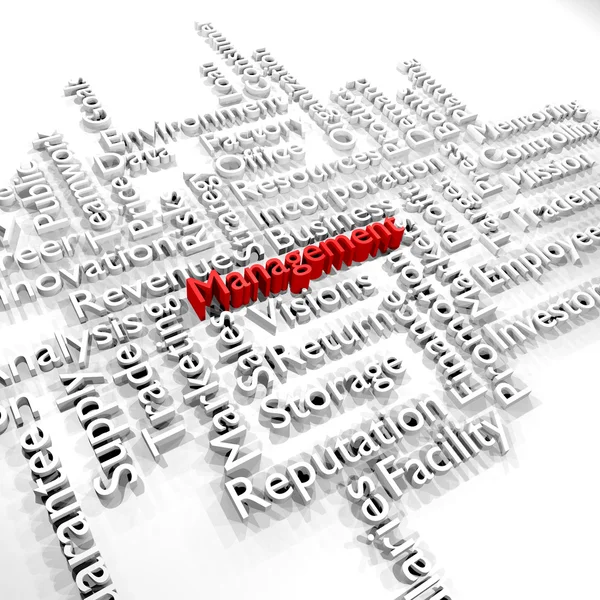 Management, Business word cloud, 3d rendering — Stock Photo, Image