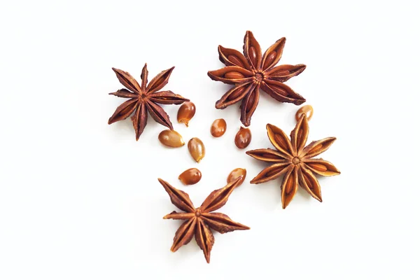 Star anise — Stock Photo, Image