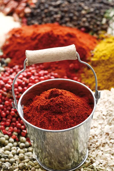 A selection of spices, in foreground paprica powder in zinc buck — Stock Photo, Image