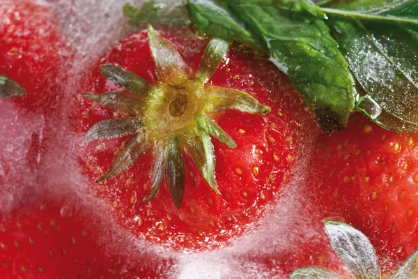在冰块中冷冻草莓 — 图库照片