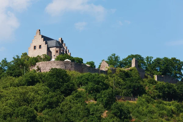 Германия, Рейнланд-Пфальц, Вид на Альтенбаумбургский замок — стоковое фото