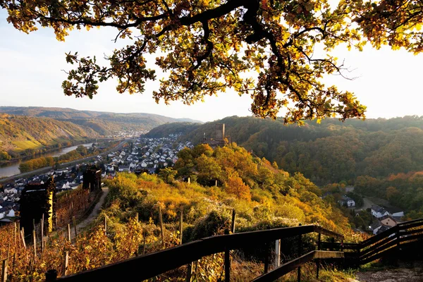 Jerman, Rhineland-Palatinate, Pemandangan istana Niederburg — Stok Foto