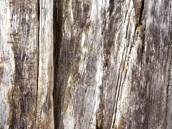 Wood structure — Stock Photo, Image