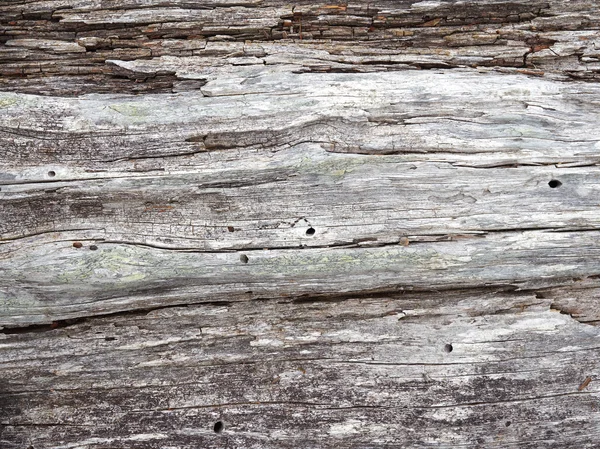 Holzstruktur — Stockfoto