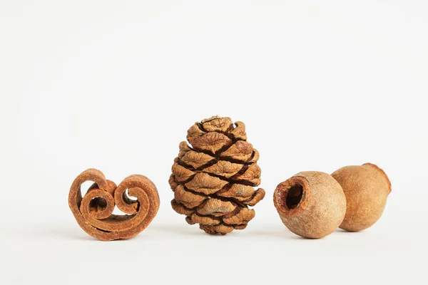 Cinnamon roll, Cypress cone, fruits of gum tree — Stock Photo, Image