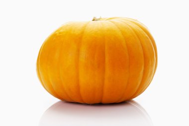 Cucurbita Maxima kabak