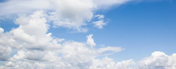 Différents types de nuages sur ciel bleu, mouettes volantes — Photo