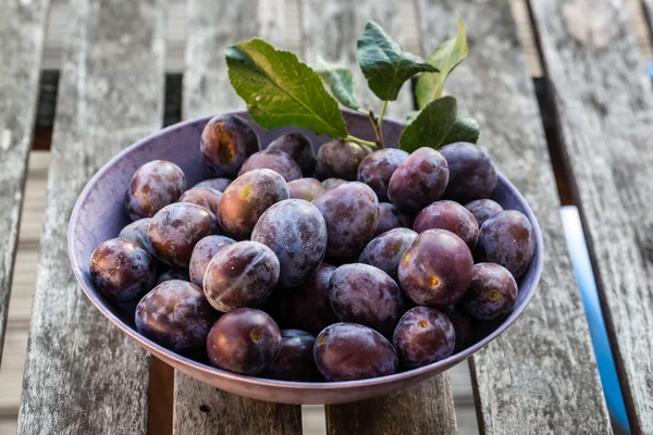 Fresh picked plums in bowl — Stock Photo, Image