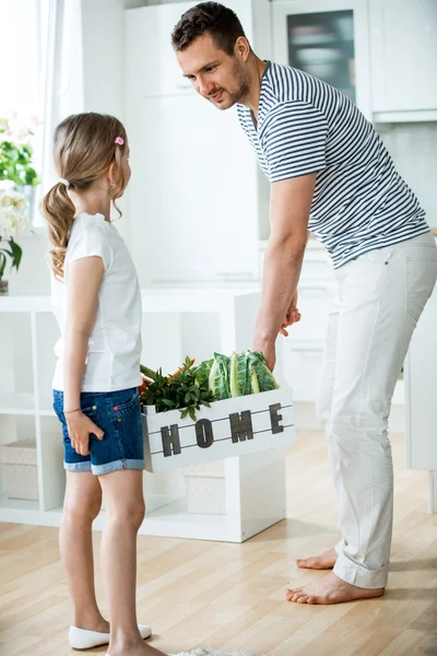 Father and daughter carrying vegetable box in kitchen — Stock Image Father and daughter carrying vegetable box in kitchen Stock Picture