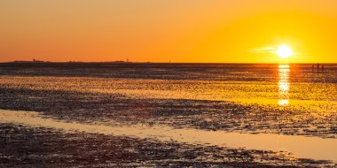 Germany, Lower Saxony, National park, Low tide at sunset clipart