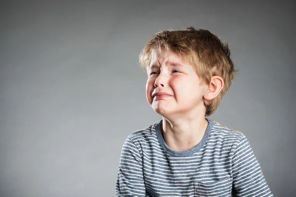 Portrait of boy, emotion, crying, grey background — Stok Foto