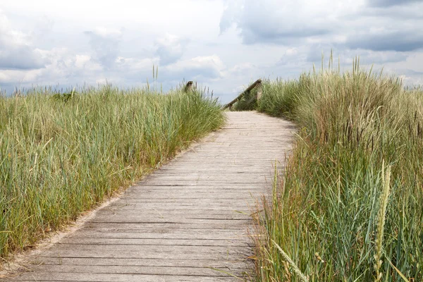 Deutschland, schleswig-holstein, boradwalk aus holz — Stockfoto