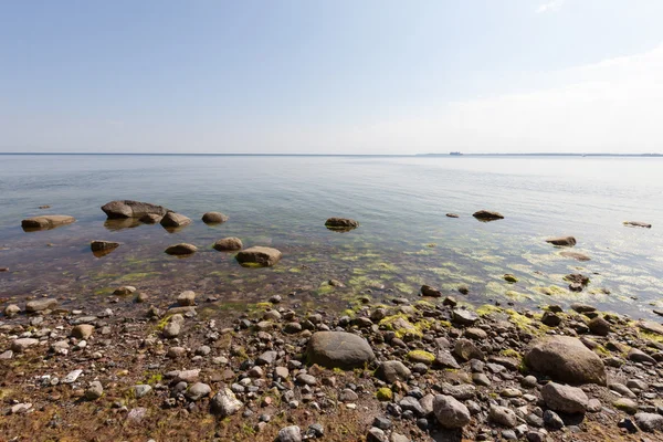 德国石勒苏益格-荷尔斯泰因州波罗的海，自然保护区 Brodtene — 图库照片