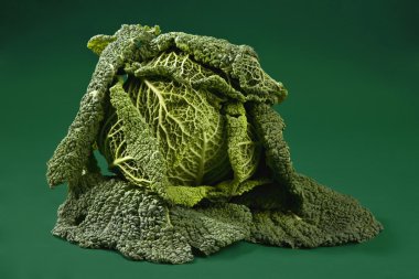 Savoy fresh cabbage clipart