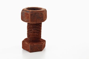 Paslı vida ve somun