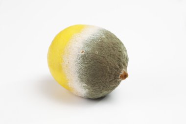 Şımarık limon kalıplanmış