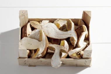 Ceps tahta kutuya dilimlenmiş Kuru