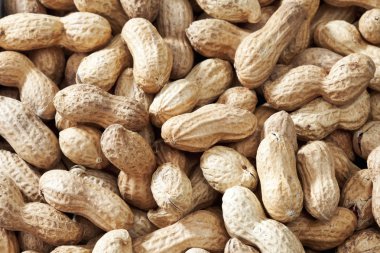 Soyulmamış kuru fıstık