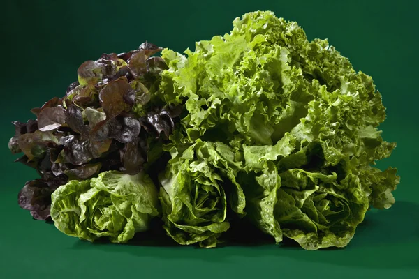 Färska bladgrönsaker — Stockfoto