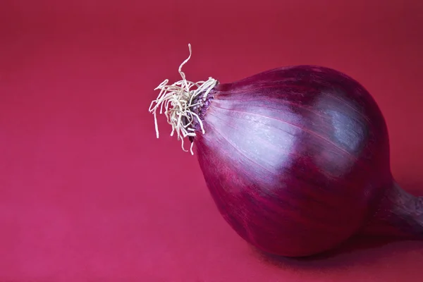 Cebolla roja contra rosa — Foto de Stock