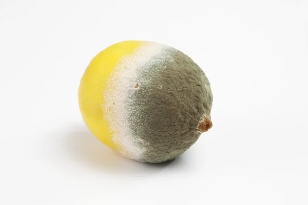 Molded spoiled lemon — Stock Photo, Image