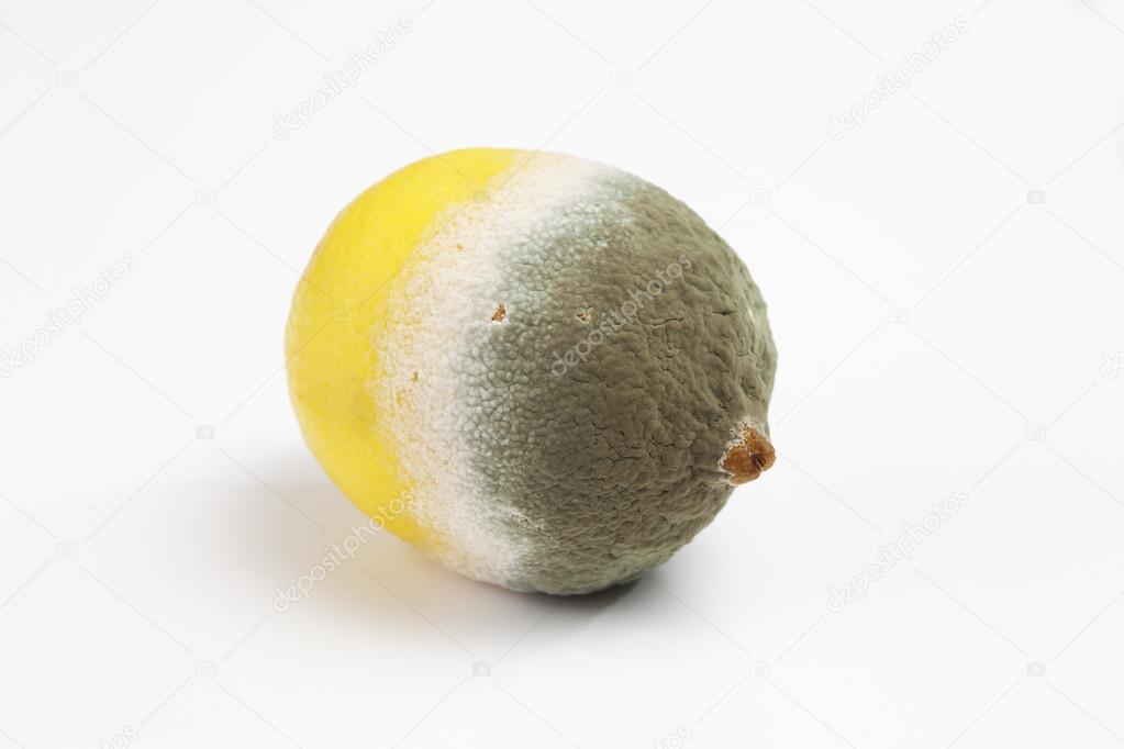 Molded spoiled lemon