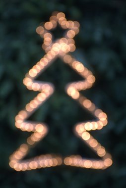 Işıklı Noel ağacı, yakın çekim
