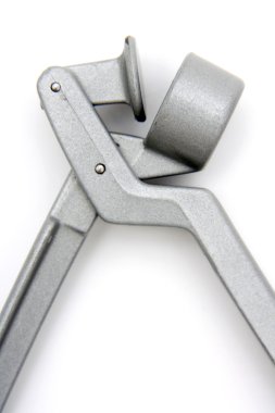 Basın sarımsak, yakın çekim