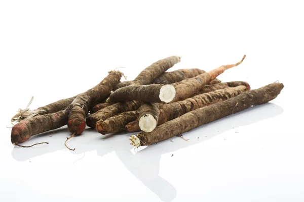 Negro Salsify sobre fondo blanco — Foto de Stock