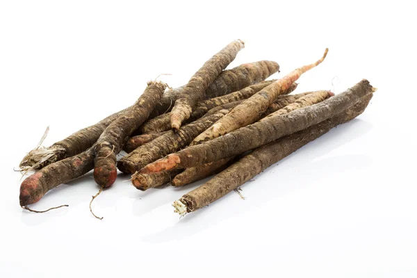 Negro Salsify sobre fondo blanco — Foto de Stock