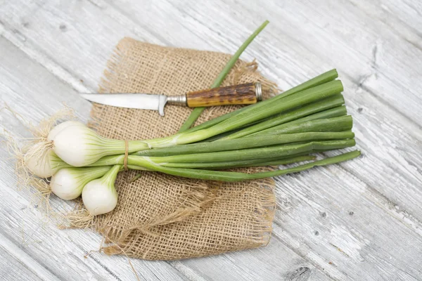 Cipolle primaverili su pavimento in legno — Foto Stock