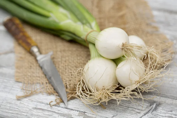 Frühlingszwiebeln auf Holzboden hautnah — Stockfoto