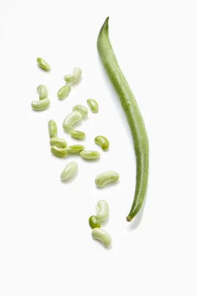 Beyaz arkaplanda yeşil fasulye — Stok fotoğraf